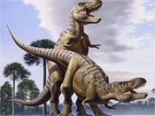 Détails : Petite cochonne, elle se fait sauter dans un porno français